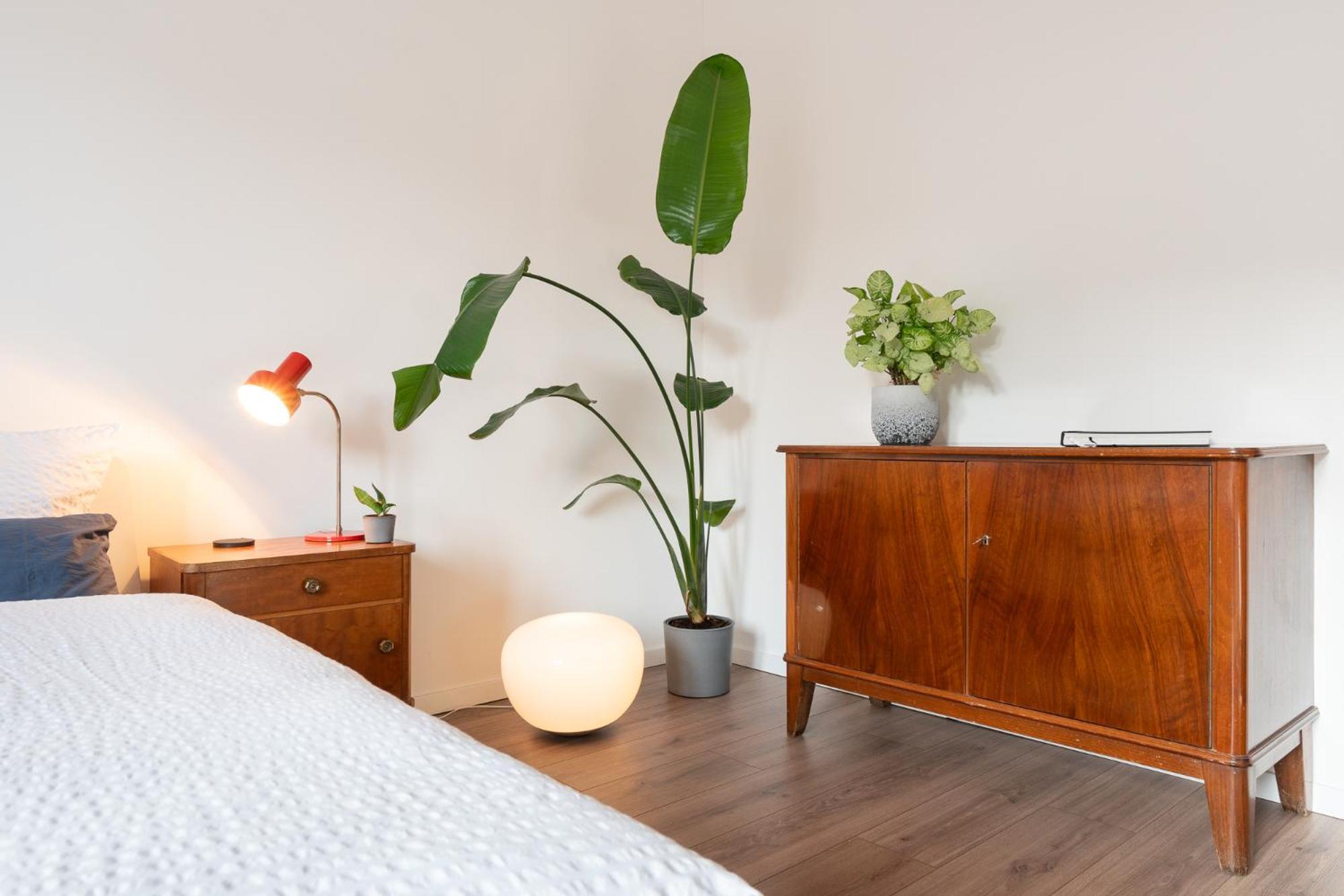 Luxurioeses Apartment, 10Min Innenstadt, Parkplatz Erfurt Extérieur photo